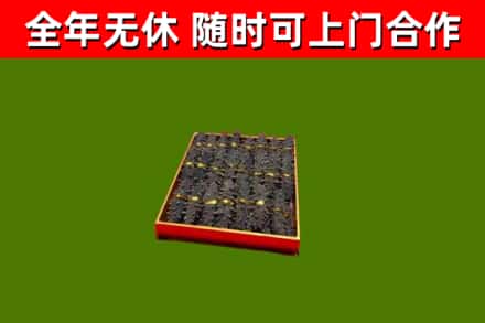 源城回收海参